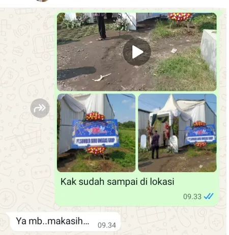 Pengiriman Karangan Bunga Rawa Terate